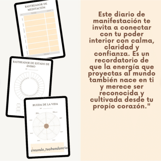 💫Diario de Manifestación💫 (33 páginas)
